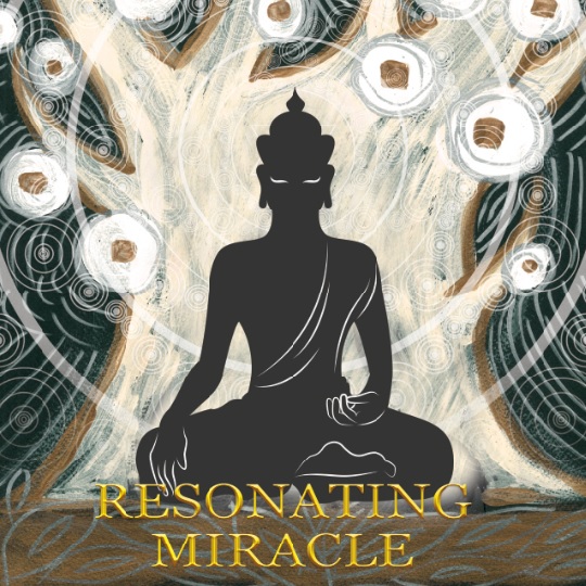 Resonating Miracle music album by Sadredin Taheri